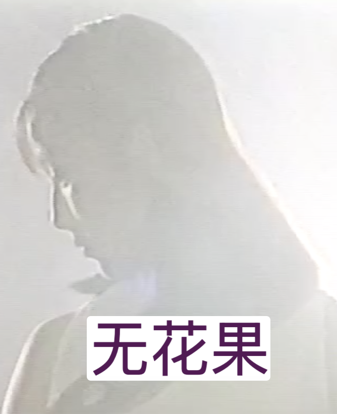 無花果（1996）(全集)