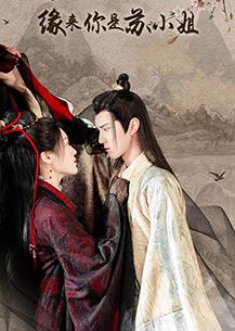 緣來你是蘇小姐(全集)