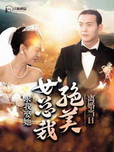 離婚當(dāng)日，絕美女總裁求我娶她(全集)