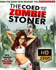 校內(nèi)僵尸聯(lián)誼會(huì)