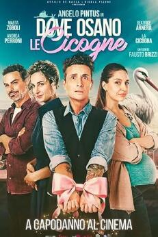 鴿子飛翔的地方