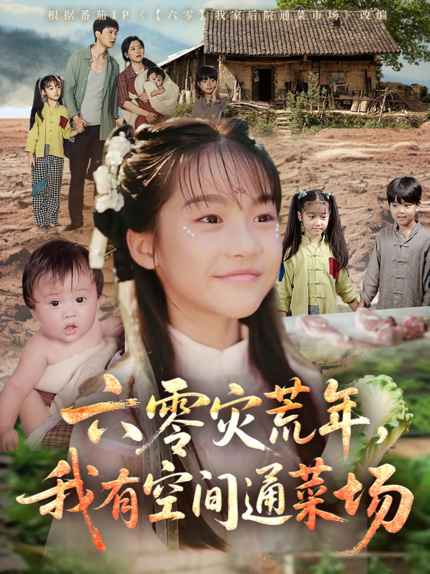 六零災(zāi)荒年，我有空間通菜場(chǎng)(全集)