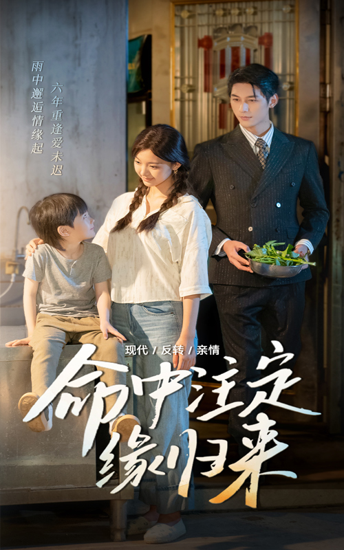 命中注定緣歸來(全集)