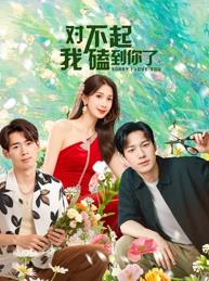 對不起，我磕到你了(全集)