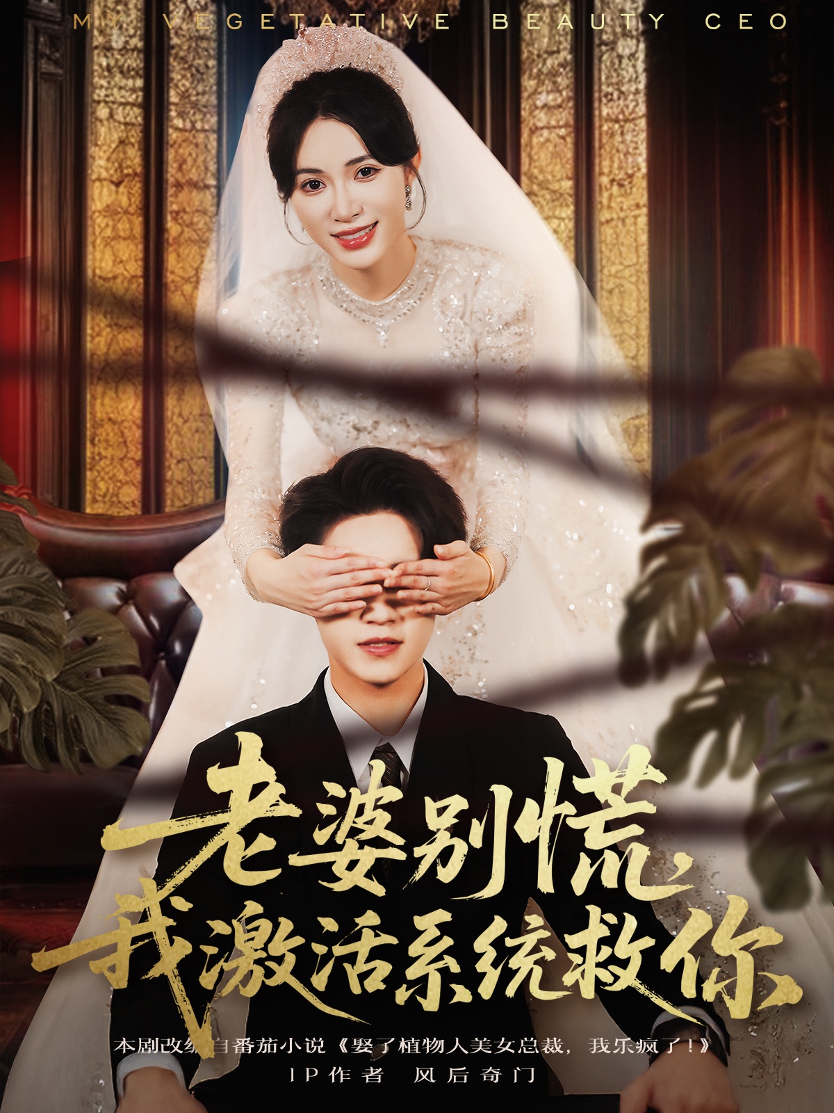 老婆別慌，我激活系統(tǒng)救你(全集)