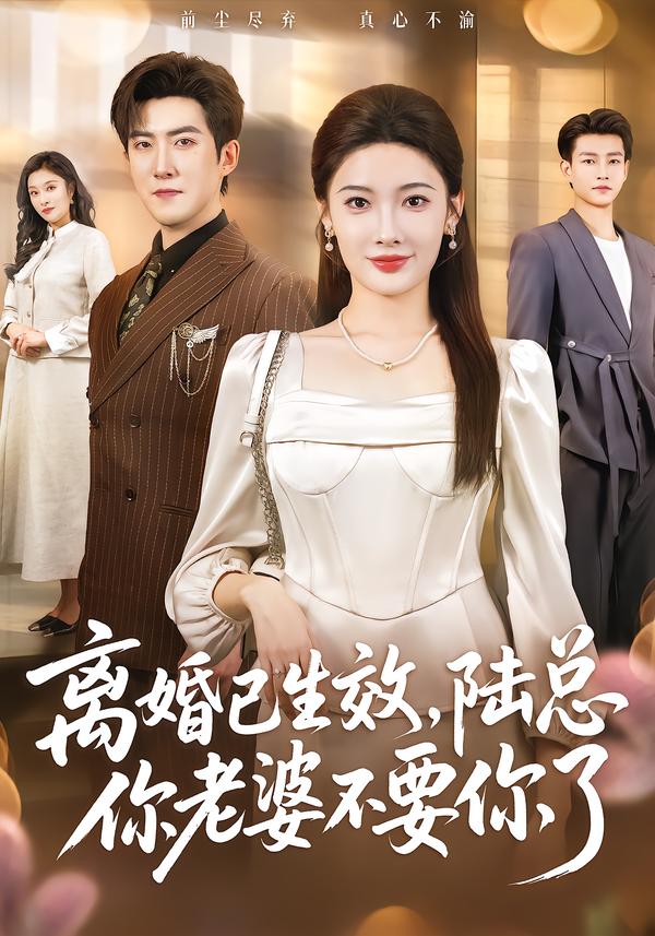 離婚已生效，陸總你老婆不要你了(全集)