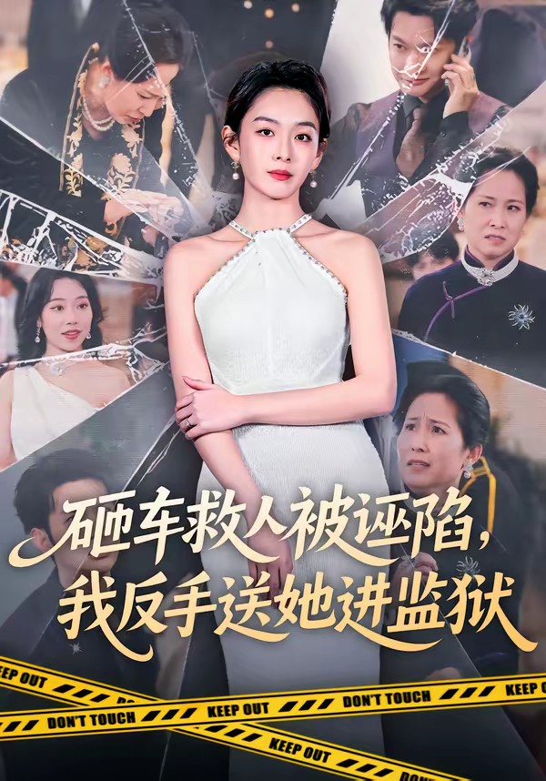 砸車(chē)救人被誣陷，我反手送她進(jìn)監(jiān)獄(全集)