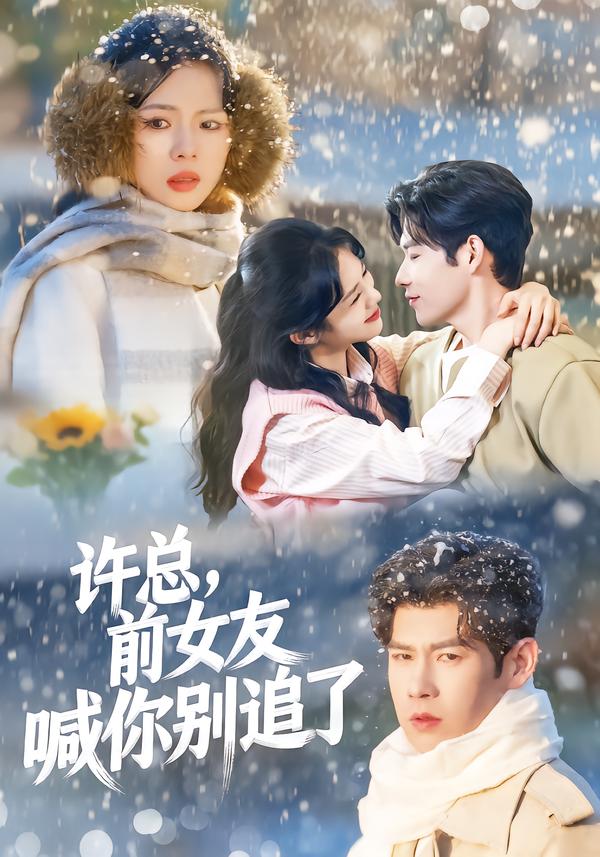 許總，前女友喊你別追了(全集)