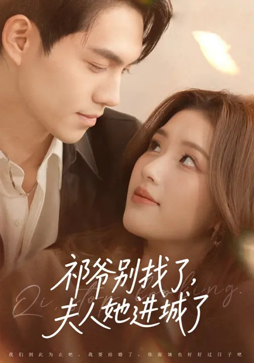 祁爺別找了，夫人她進城了(全集)