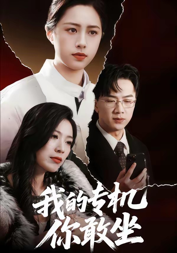 我的專(zhuān)機(jī)你敢坐(全集)