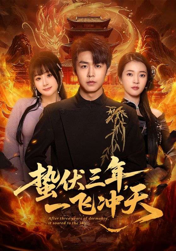 蟄伏三年，一飛沖天(全集)