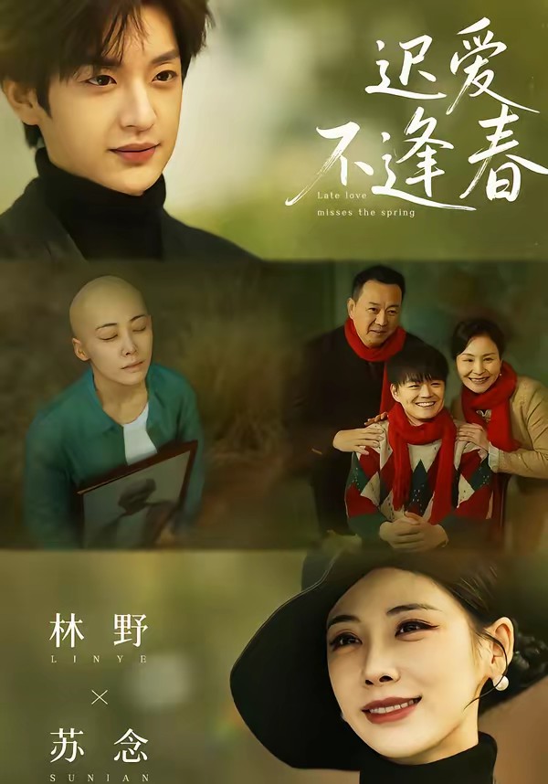 遲愛(ài)不逢春(全集)