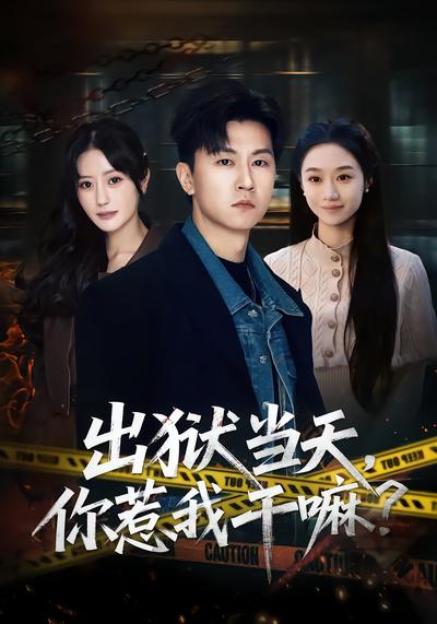 出獄當(dāng)天，你惹我干嘛？(全集)