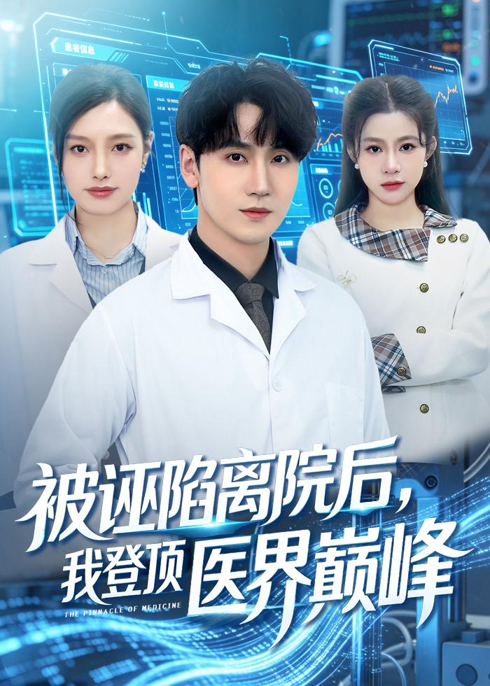 被誣陷離院后，我登頂醫(yī)界巔峰(全集)